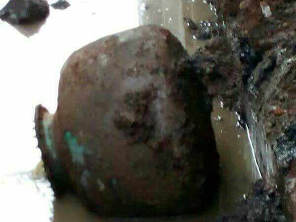 யானை தந்தம், குதிரை எலும்பு