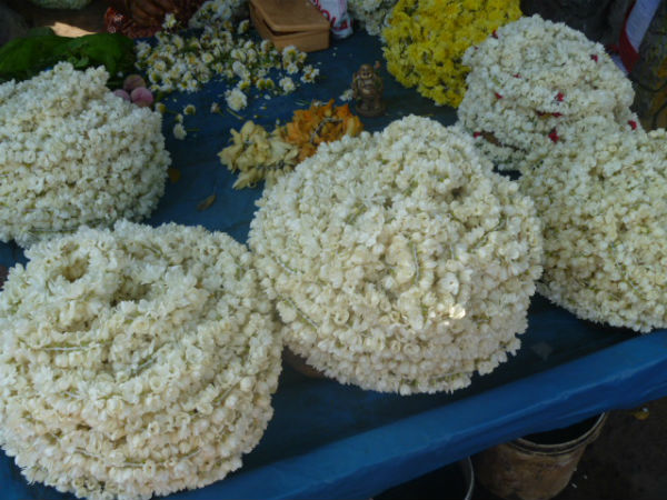 Due to Festival season flower rates are in peak Due to Festival season flower rates are in peak