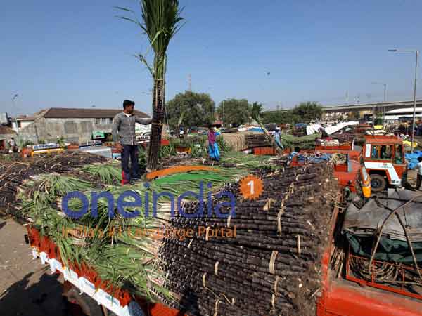 Large number of commodities including sugarcane, turmeric and pots on the Pongal festival in Kanniyakumari Large number of commodities including sugarcane, turmeric and pots on the Pongal festival in Kanniyakumari