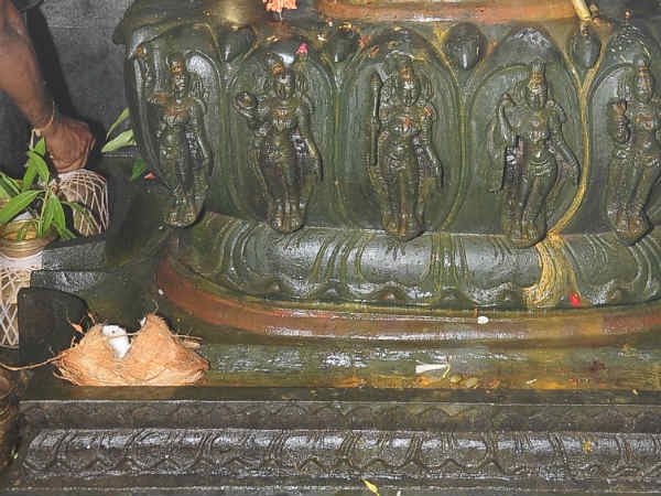 உடல், மன நோய் தீரும்