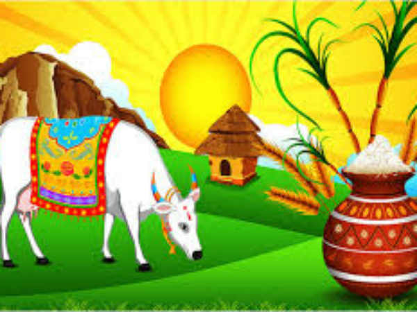 மாட்டுப்பொங்கல்: