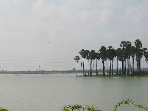 Problem in the shutter of pond in Tuticorin Problem in the shutter of pond in Tuticorin