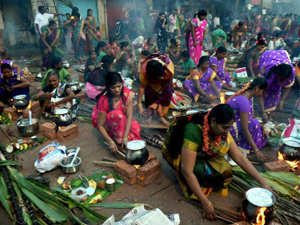 Thai Pongal The Harvest Festival Thai Pongal The Harvest Festival