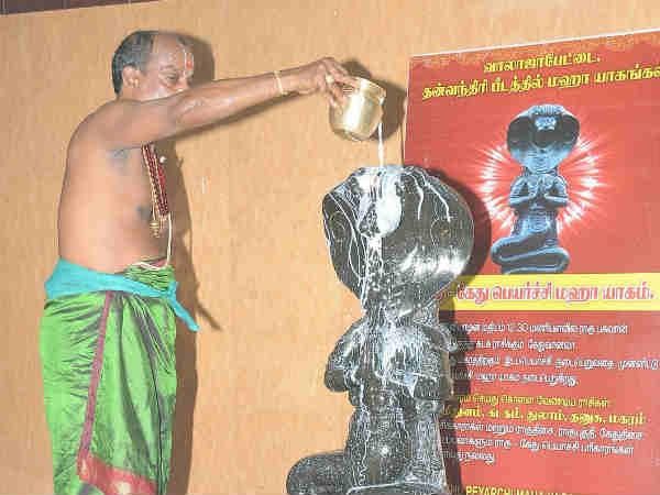 மூலிகைகளால் யாகம்