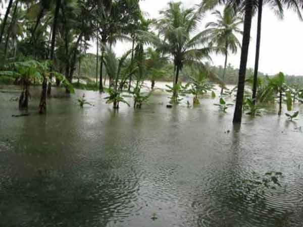 Continuous rain in Delta region of TN Continuous rain in Delta region of TN