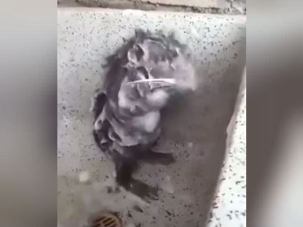 தனியுரிமையை பாதுகாக்க..