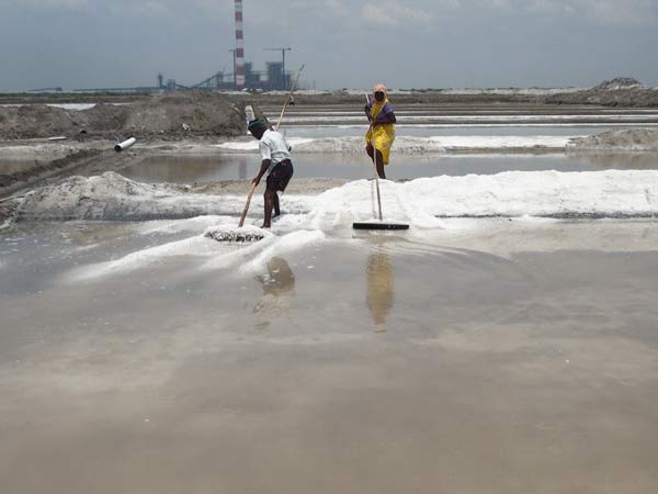 Saline industry is getting worse in Tuticorin Saline industry is getting worse in Tuticorin
