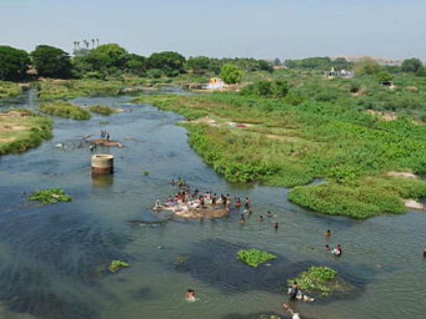 Thirunelveli district is taking initiative for people to celebrate pongal below Tamirabarani dam Thirunelveli district is taking initiative for people to celebrate pongal below Tamirabarani dam
