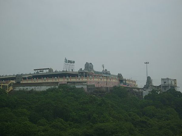 பெங்களூரைச் சேர்ந்த பெண்