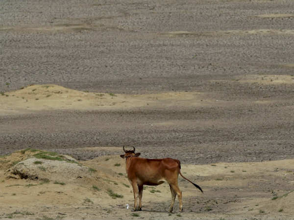 நாசமாகும் குஜராத்