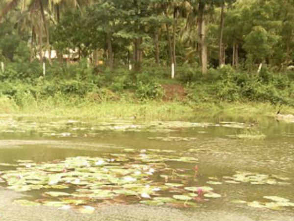 Kerala uses Thirunelveli pond as Dust-Bin Kerala uses Thirunelveli pond as Dust-Bin