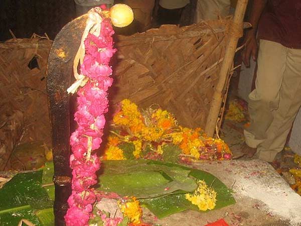 200 ஆடு, 250 கிலோ கோழி