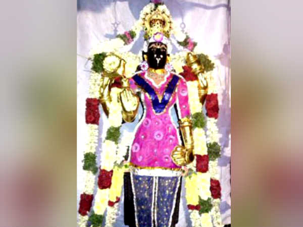 செல்போனில் போட்டோ