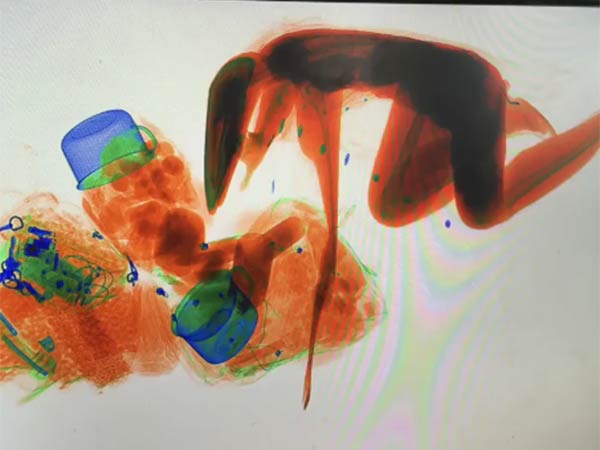 Bizarre: China woman goes through X-ray machine with handbag Bizarre: China woman goes through X-ray machine with handbag