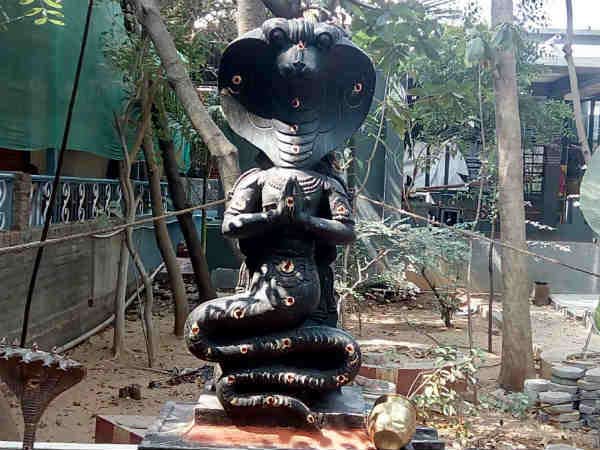 ஜோதிட ரீதியாக காரணம்