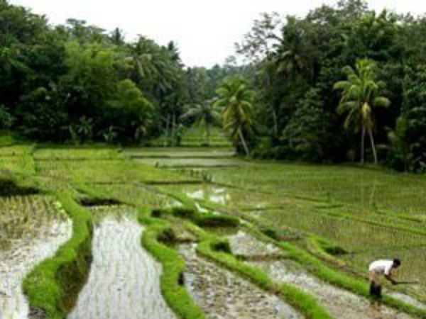 வெட்கம் கொஞ்சம் கூட இல்லையே