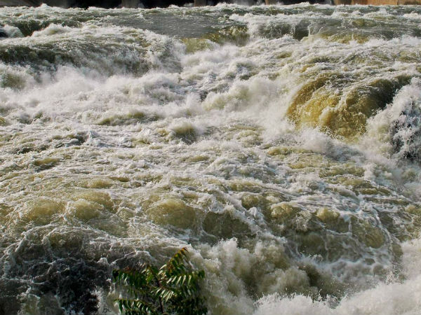 6 வாரத்தில் காவிரி மேலாண்மை வாரியம் அமைக்க வேண்டும்: மத்திய அரசுக்கு சுப்ரீம் கோர்ட் அதிரடி உத்தரவு!