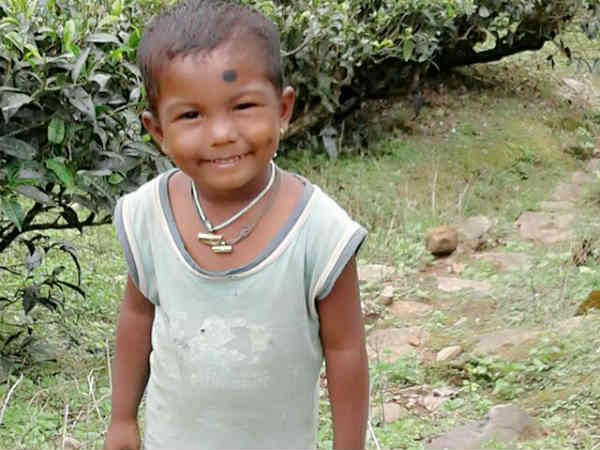 Cheetah has taken the child from Valparai Cheetah has taken the child from Valparai
