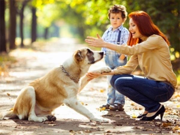 A story is telling that Pets are taking care of us than our children A story is telling that Pets are taking care of us than our children