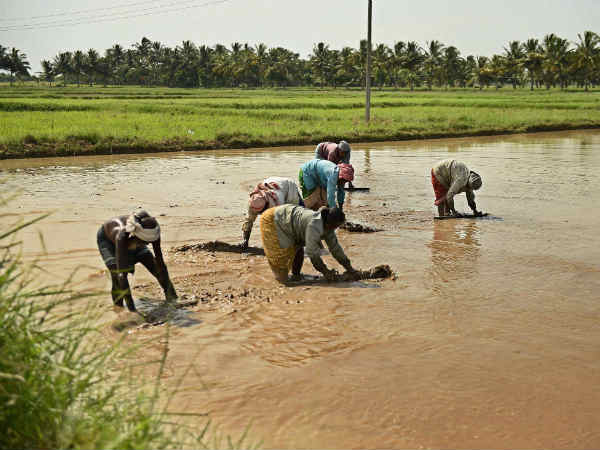 விவசாயிகள் எதிர்க்கிறார்களா?