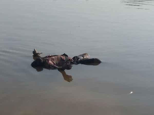 Five bodys rescued in Andra: two identified belongs to Salem district Five bodys rescued in Andra: two identified belongs to Salem district