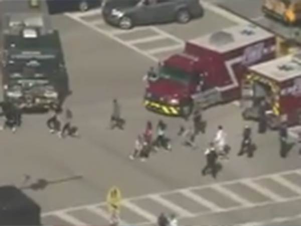 Florida: 17 dead after expelled student opens fire Florida: 17 dead after expelled student opens fire