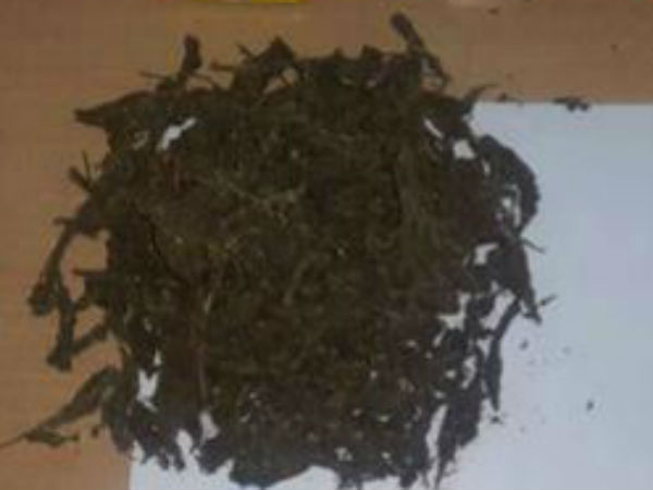 Three Students were arrested for having illegal drugs Three Students were arrested for having illegal drugs
