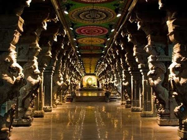 உயிரிழந்த புறாக்கள்