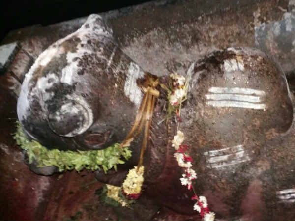 கருகாத நந்தி மாலை