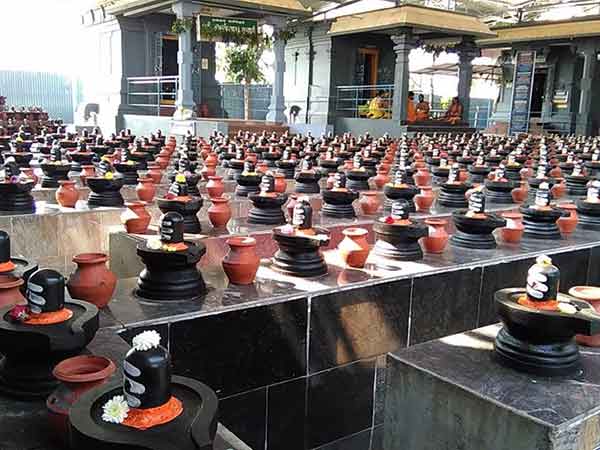 Maha Shivratri rudrabhishek in Shiva temple Maha Shivratri rudrabhishek in Shiva temple