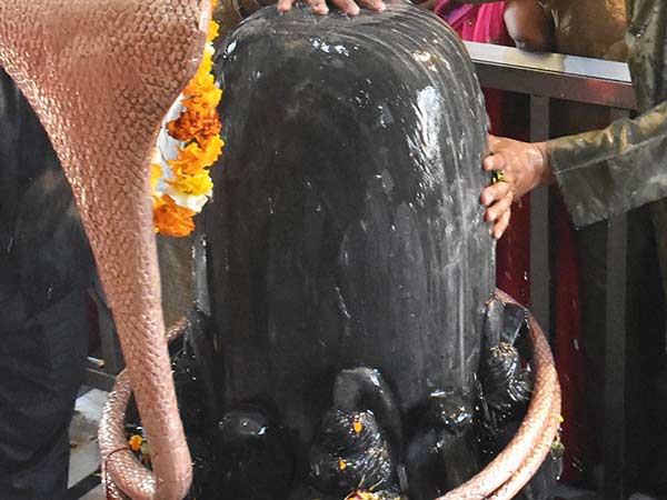 woman sacrifices tongue to lord shiva woman sacrifices tongue to lord shiva