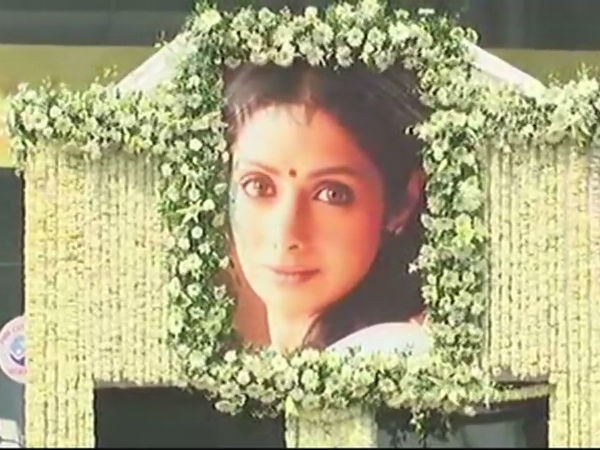சம்பங்கி பூக்கள்
