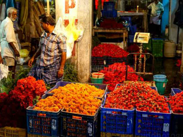 ரோஜாப்பூவின் மருத்துவ குணங்கள்: