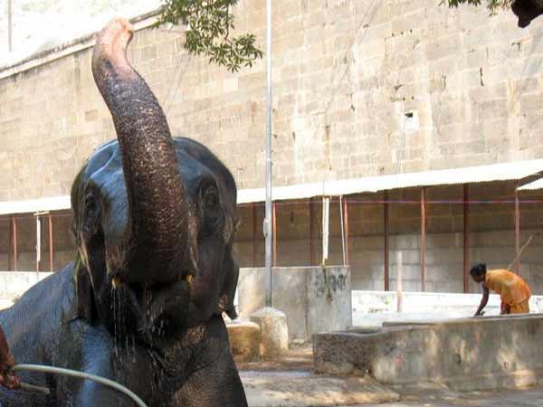 பக்தர்கள் சோகம்