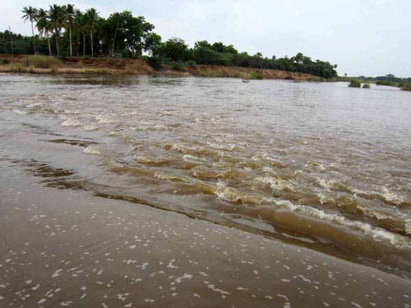 தமிழக அரசு நடவடிக்கை