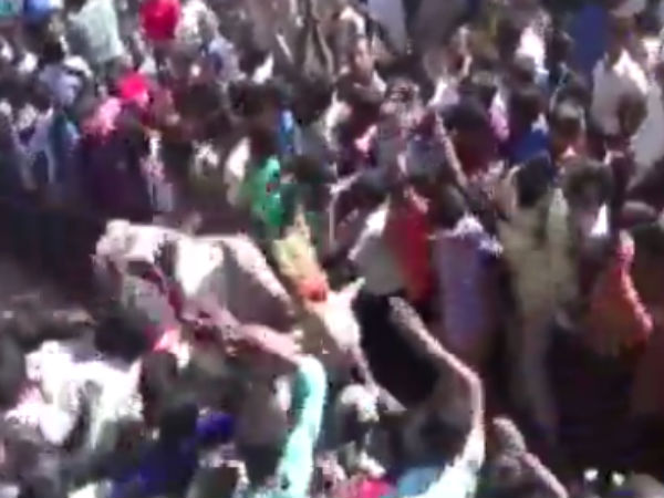 Krishnagiri: bull competition - 337 bulls participating Krishnagiri: bull competition - 337 bulls participating