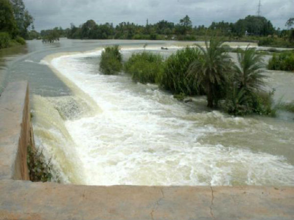 6 வாரத்துக்குள்