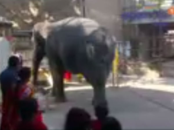 மாரடைப்பு