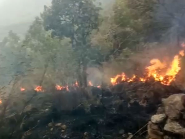 Wild fire strikes in Theni kills 1 girl student Wild fire strikes in Theni kills 1 girl student