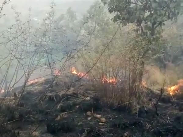 Stutendts rescue operations on war footing in Theni, Says Minister Srinivasan Stutendts rescue operations on war footing in Theni, Says Minister Srinivasan