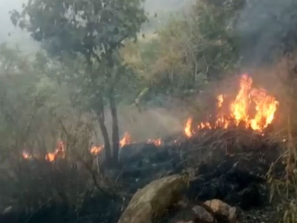 தப்பி பிழைத்தோம்