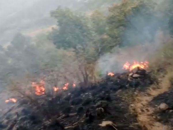 Defence Ministry joins rescue efforts to save college girls trapped in Forest Fire in Theni Defence Ministry joins rescue efforts to save college girls trapped in Forest Fire in Theni