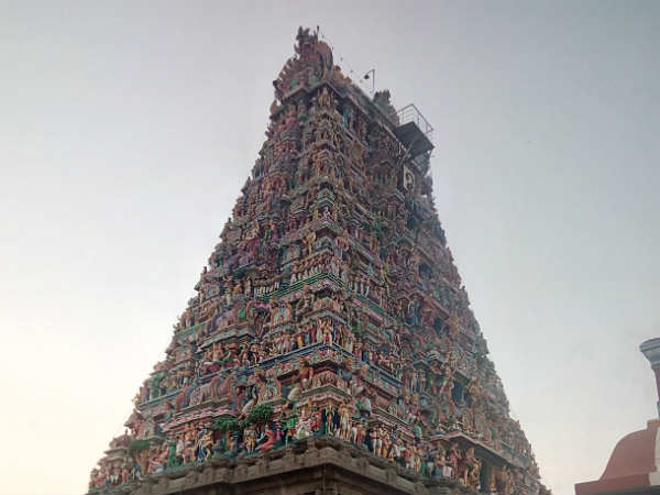 புன்னை வனத்தில் தவம்