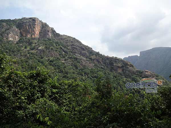 Forest department banns trekking in Kollimalai Forest department banns trekking in Kollimalai