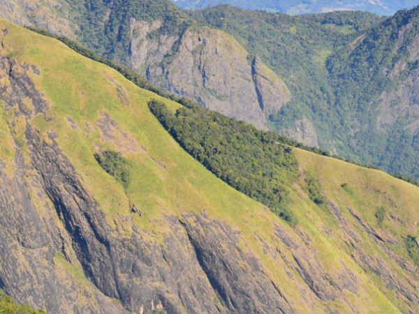 ஈகோ சுற்றுலா