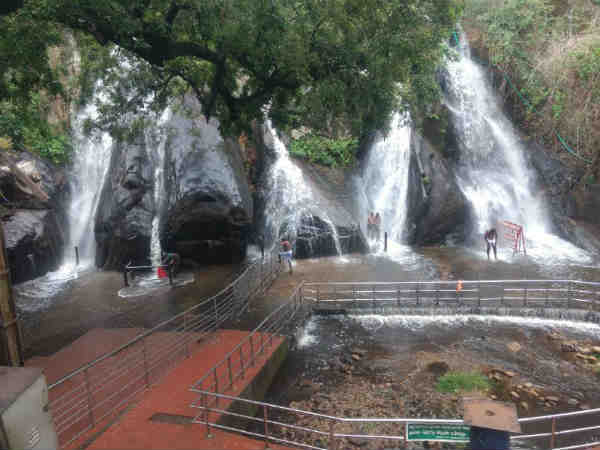 Rains at Thenkasi and westernghats brings water in falls Rains at Thenkasi and westernghats brings water in falls