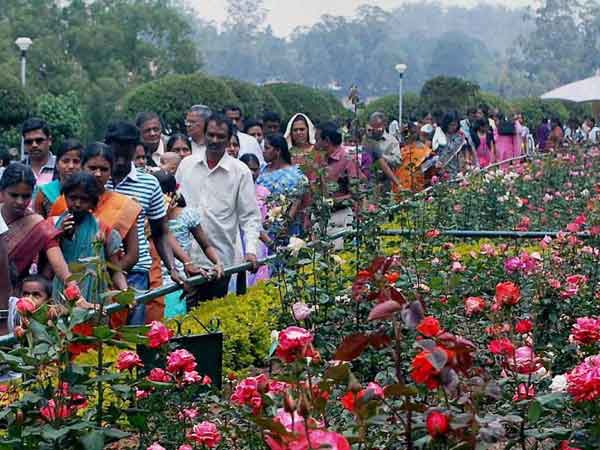 Tourists throng Ooty Tourists throng Ooty
