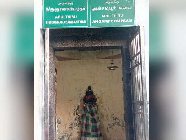 உயிர்தெழுந்த பூம்பாவை