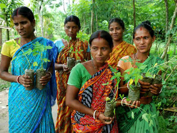 எத்தனை வருடம்