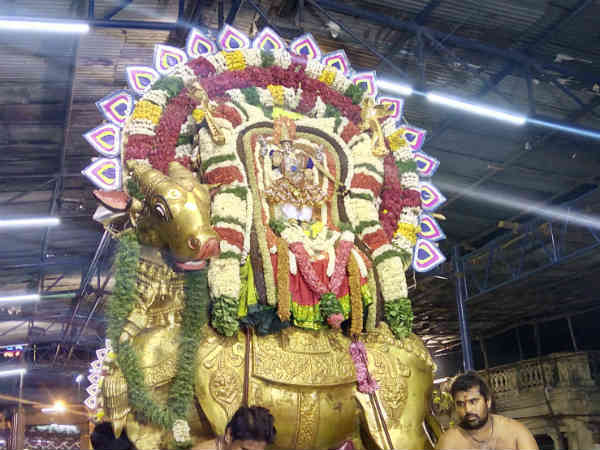 Mylapore Kabali Rishaba Vahanam Mylapore Kapaleeswarar Temple Panguni Festival Mylapore Kabali Rishaba Vahanam Mylapore Kapaleeswarar Temple Panguni Festival